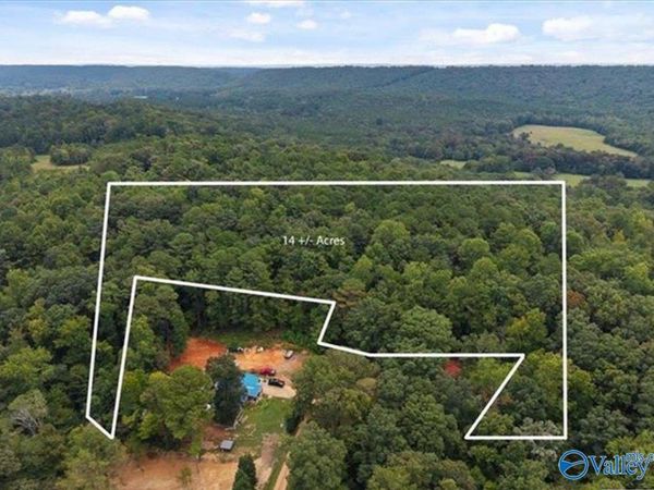 14.5 acres Cedar Drive, Allgood, AL 35013