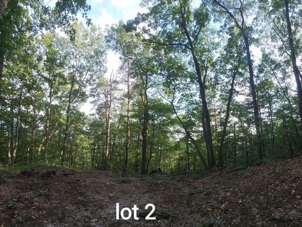 2761 Reese Mountain RD , Elliston, VA 24087