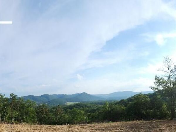 2881 Reese Mountain RD , Elliston, VA 24087