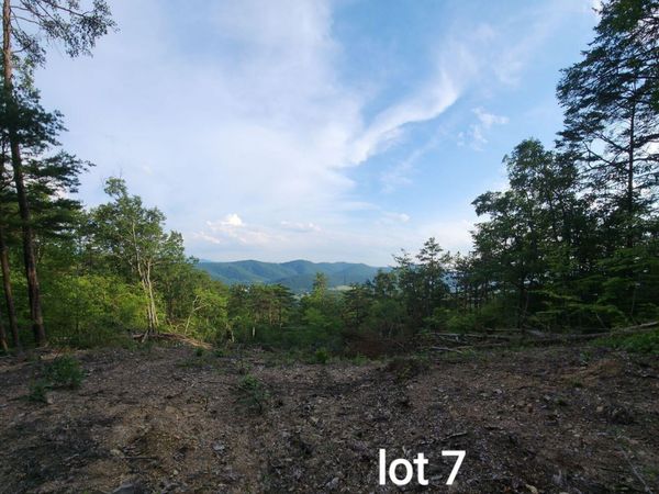 3031 Reese Mountain RD , Elliston, VA 24087