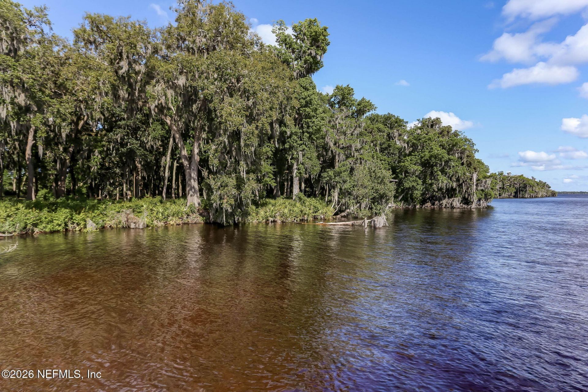 225 Cloverbrook Road, Saint Johns, FL 32259 Photo