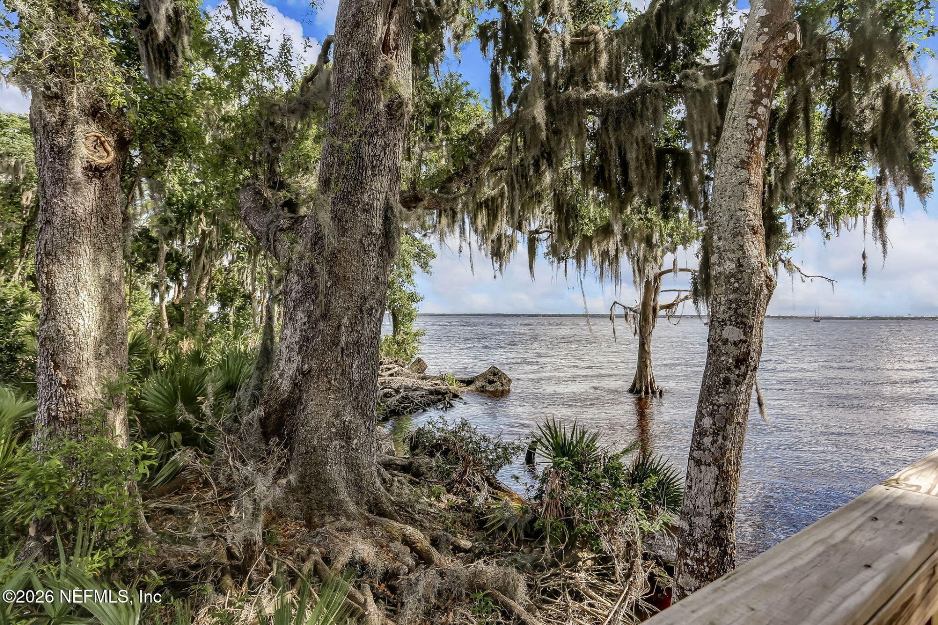 225 Cloverbrook Road, Saint Johns, FL 32259 Photo