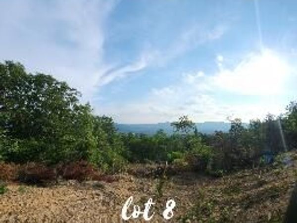 3141 Reese Mountain RD , Elliston, VA 24087