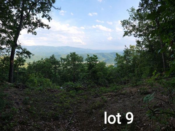 3280 Reese Mountain RD , Elliston, VA 24087