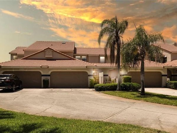 10438 SAINT TROPEZ PLACE , TAMPA, FL 33615