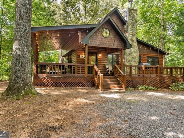 162 Little Falls Drive, Mineral Bluff, GA 30559