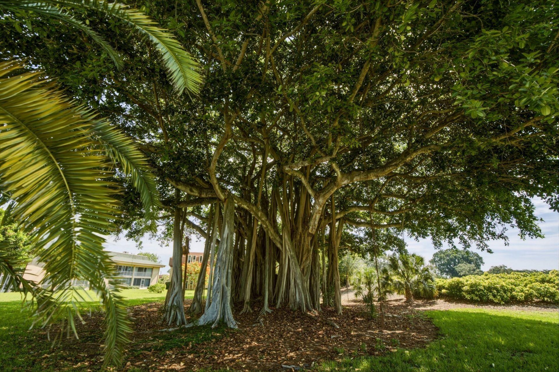10720 Ave Of The Pga, Palm Beach Gardens, FL 33418 Photo