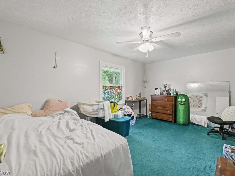 13166 Meadow Street NE, Alliance, OH 44601 Photo 19
