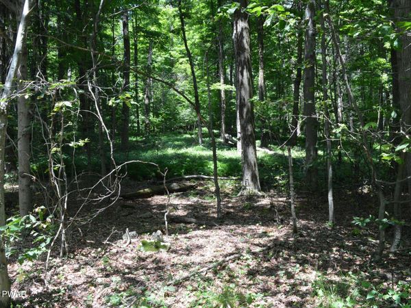 Akers Road, Newfoundland, PA 18445