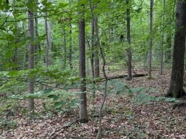 15413 DRUMMERS LANE , ORANGE, VA 22960