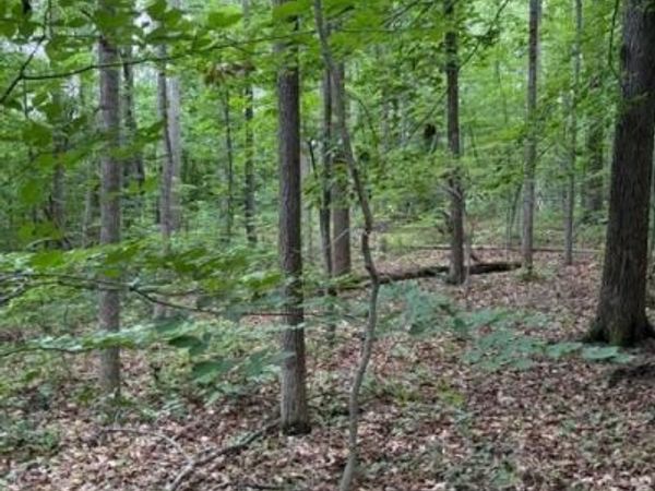 15413 DRUMMERS LANE , ORANGE, VA 22960