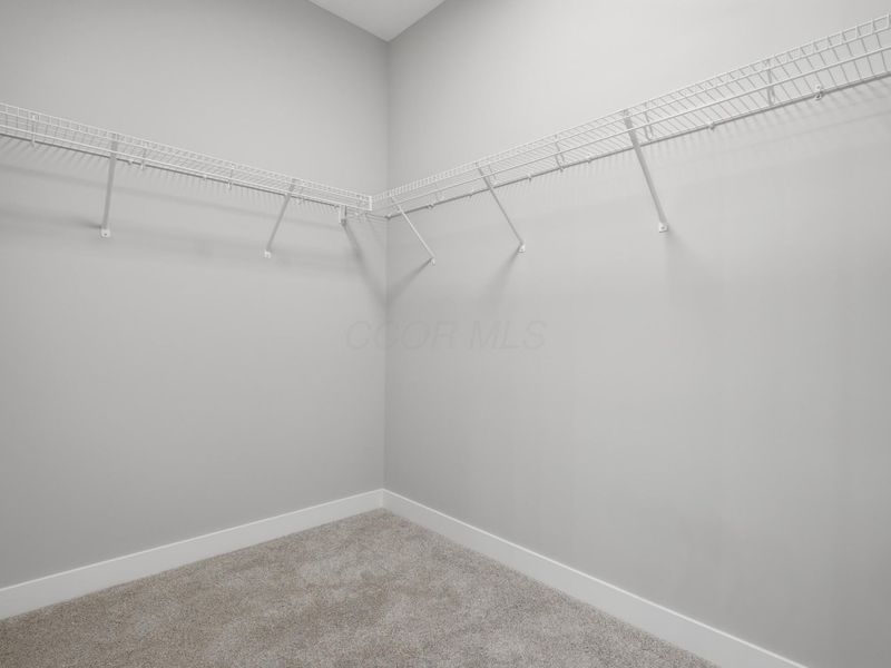 300 River Birch Drive, Galena, OH 43021 Photo 63