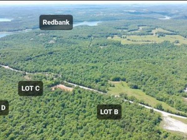 Tract C & D Hwy 101, Gamaliel, AR 72537