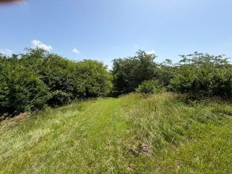 5399 Rosedale-Milford Center Road, London, OH 43140 Photo 24