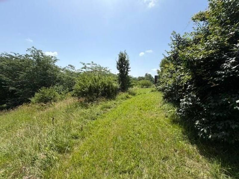 5399 Rosedale-Milford Center Road, London, OH 43140 Photo 25