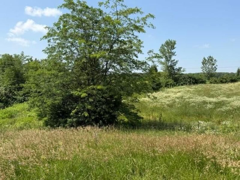 5399 Rosedale-Milford Center Road, London, OH 43140 Photo 28