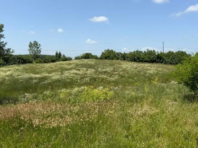 5399 Rosedale-Milford Center Road, London, OH 43140 Photo 29