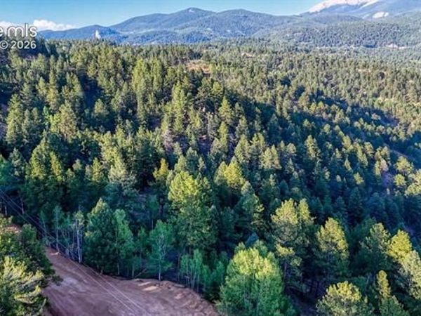 364 Blue Spruce Road, Divide, CO 80814