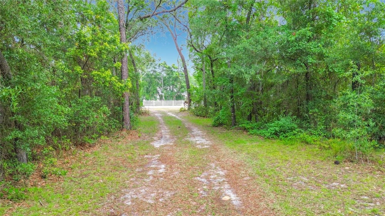 6687 W 7 Rivers Drive, Crystal River, FL 34429 Photo