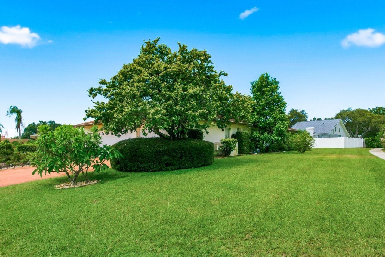 2768 Northridge Drive E, Clearwater, FL 33761 Photo
