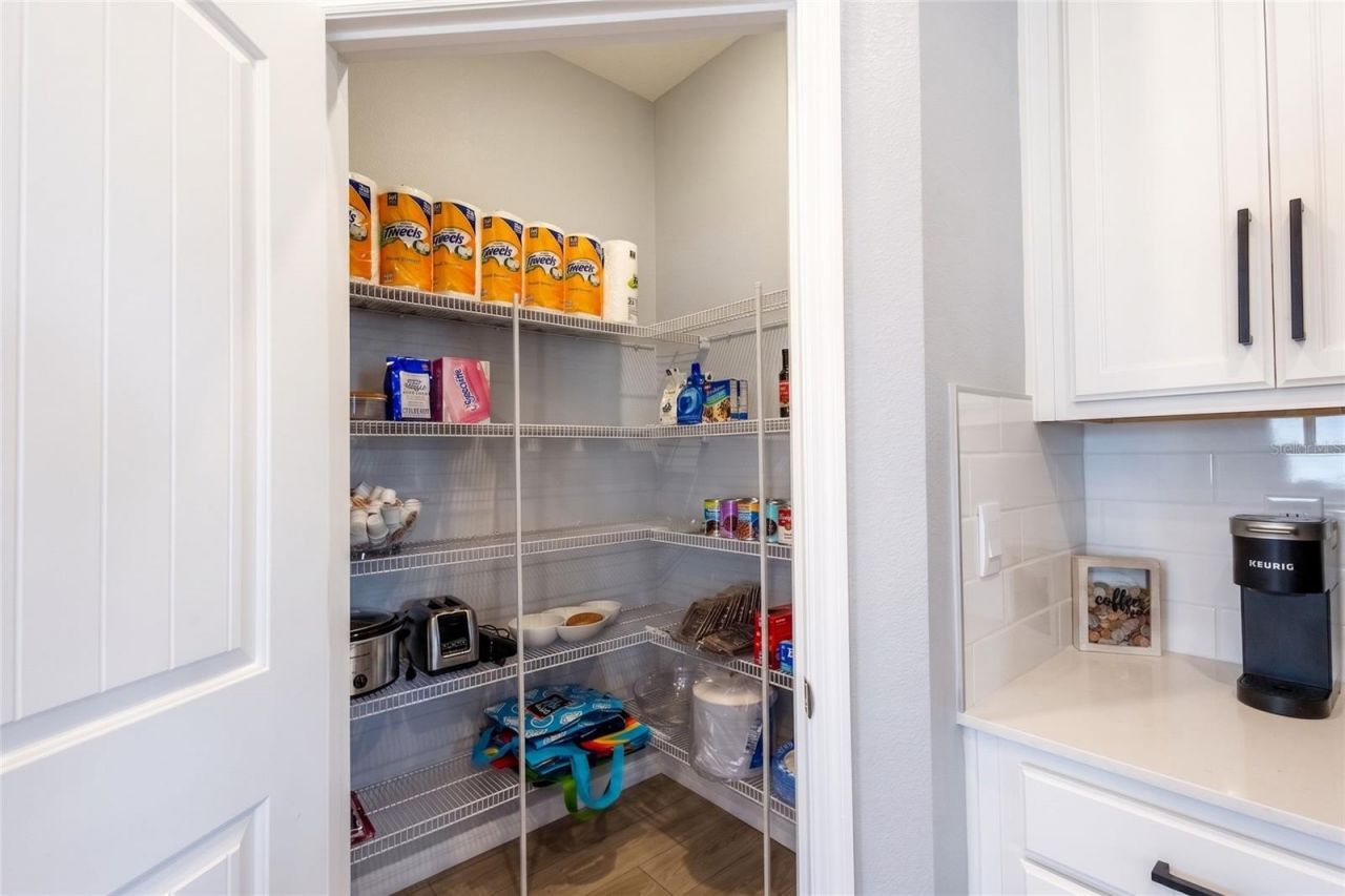 2843 Elio Hammock Drive, Saint Cloud, FL 34773 Photo
