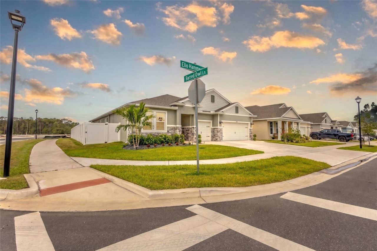 2843 Elio Hammock Drive, Saint Cloud, FL 34773 Photo
