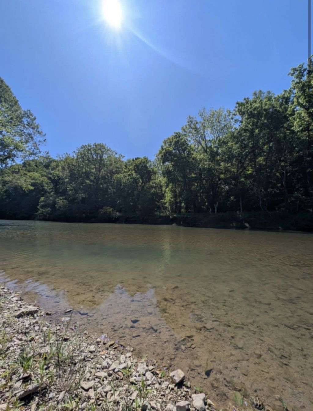 8167 Primm Springs Rd , Primm Springs, TN 38476 Main Photo