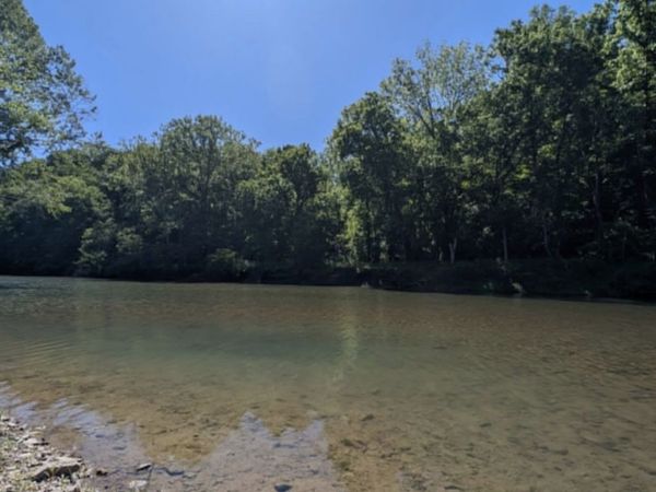 8167 Primm Springs Rd , Primm Springs, TN 38476
