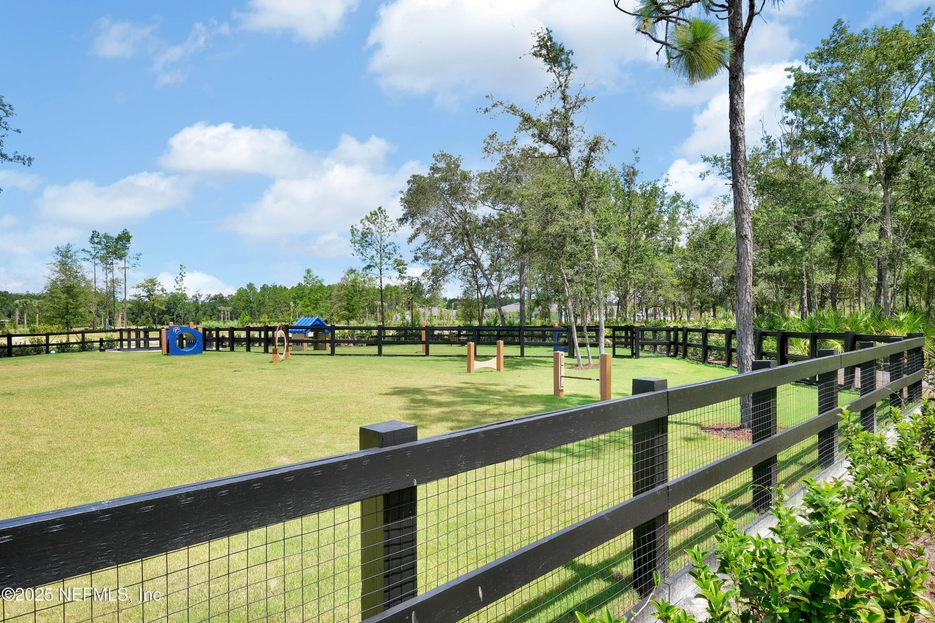 317 Crafton Circle, Saint Johns, FL 32259 Photo