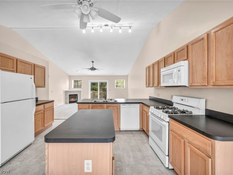 1024 Saint Michaels Way, Madison, OH 44057 Photo 3