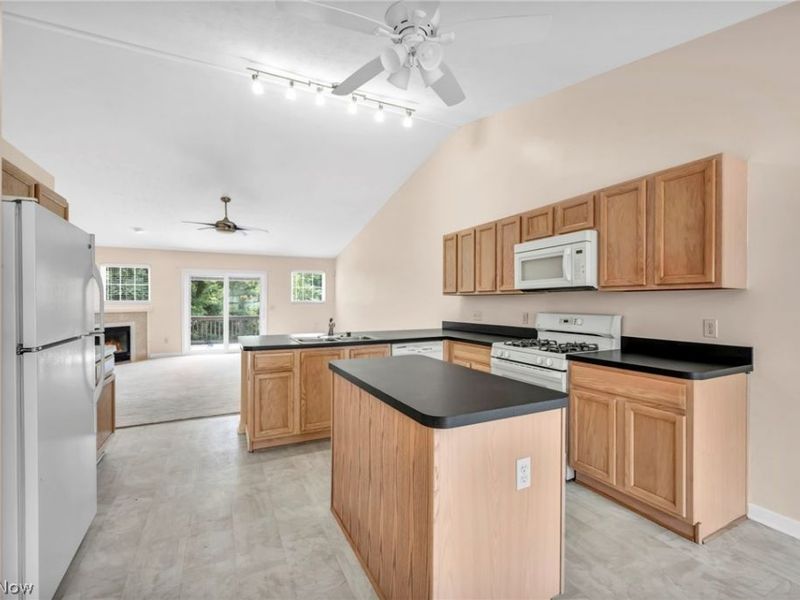 1024 Saint Michaels Way, Madison, OH 44057 Photo 4
