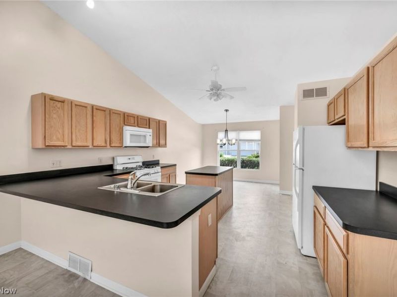 1024 Saint Michaels Way, Madison, OH 44057 Photo 7