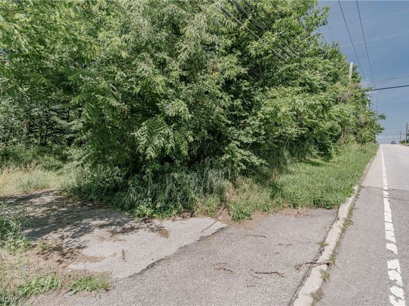 612 College Street, Wadsworth, OH 44281 Photo 7
