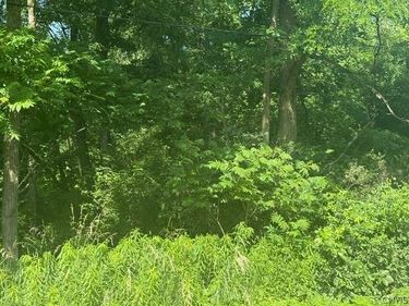Wothe Freeman Road, Deruyter, NY 13052