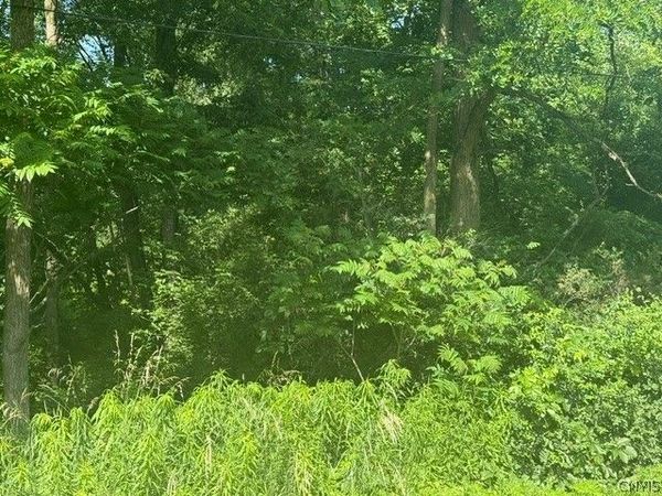 Wothe Freeman Road, Deruyter, NY 13052