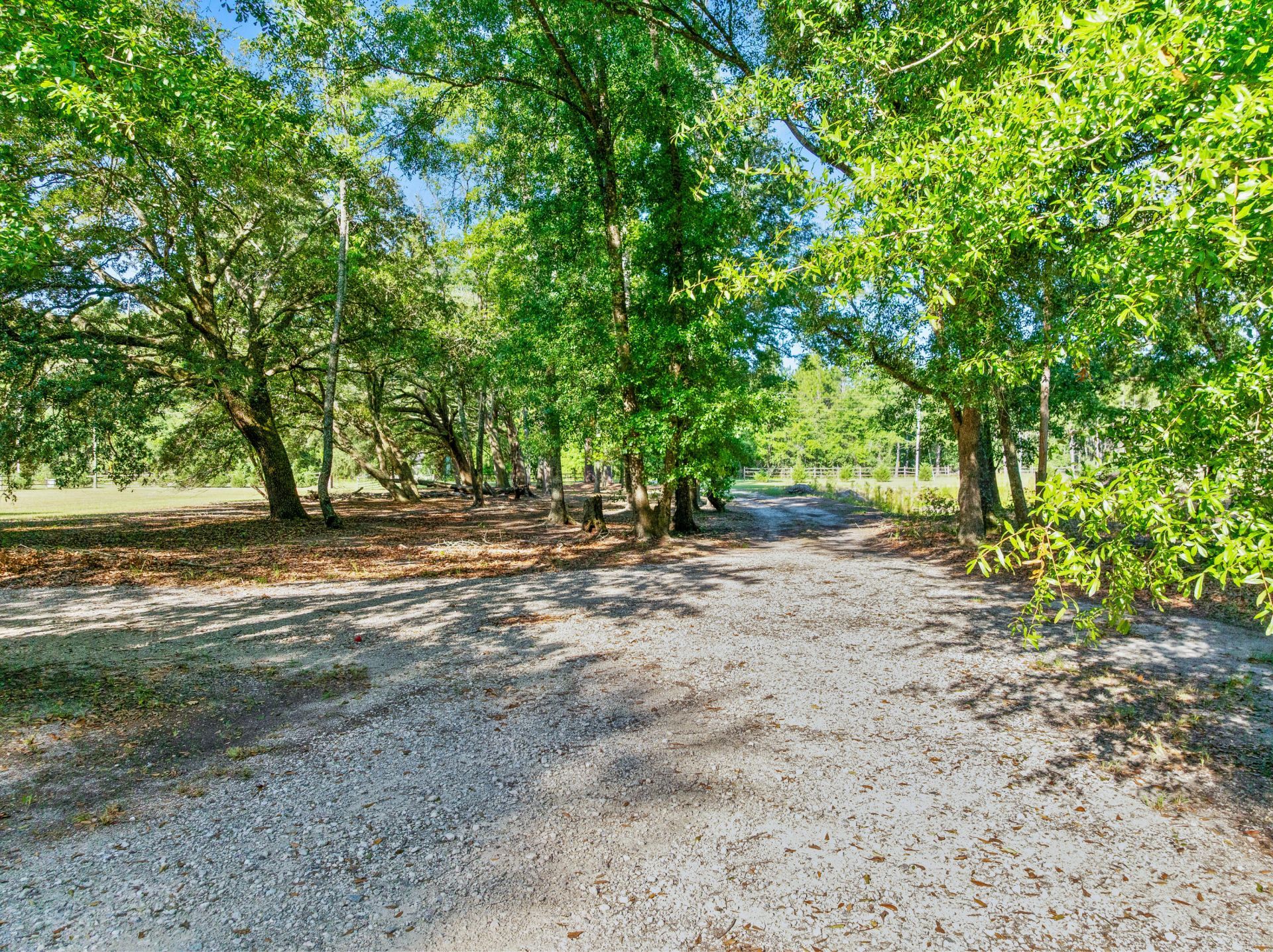 404 Marion Road Photo 23