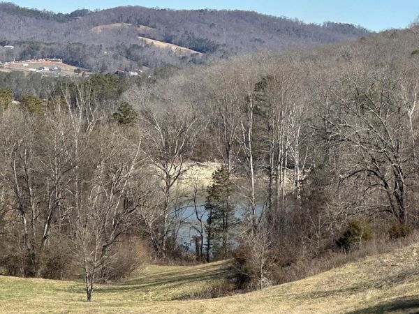Bob Wright Rd, Maynardville, TN 37807