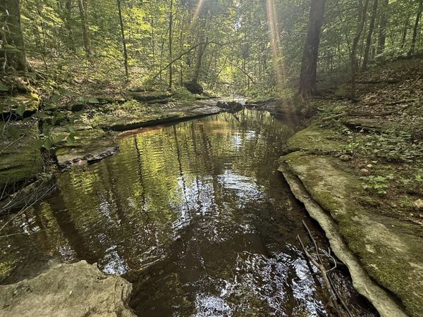 0 Toll Hollow Rd, Waynesboro, TN 38485