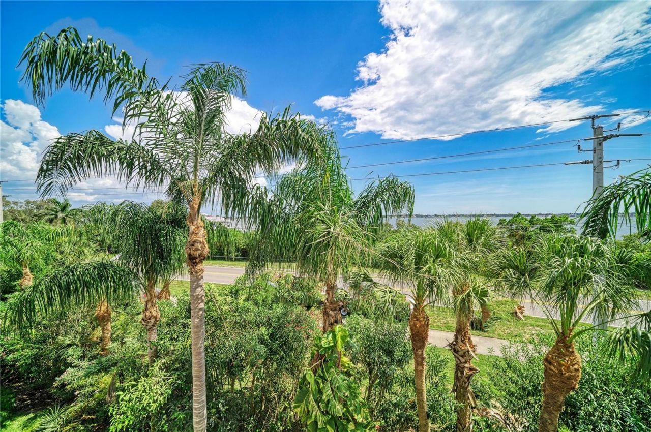 3607 10th Lane W, Palmetto, FL 34221 Photo