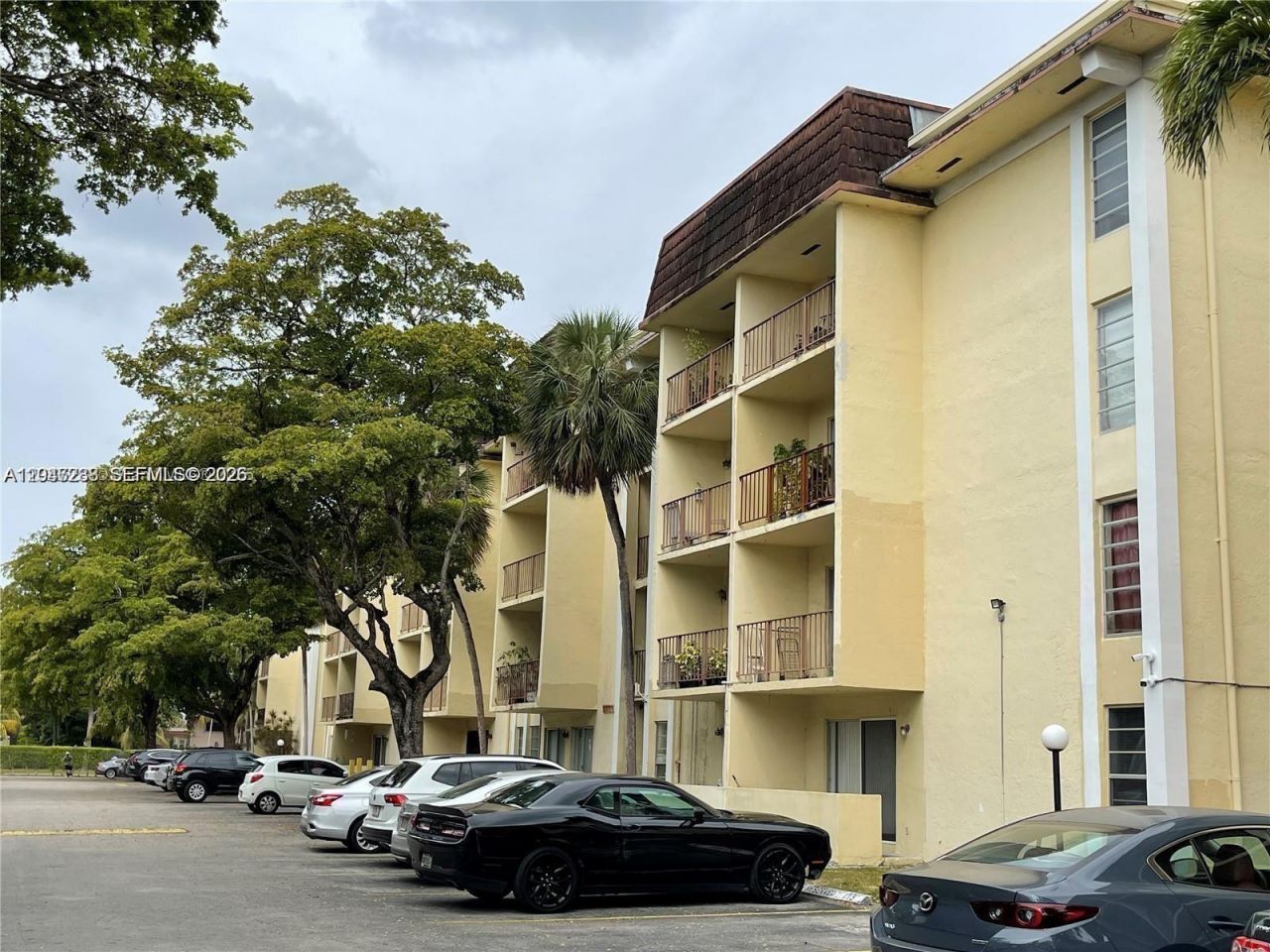 12035 NE 2nd Ave , Unit A209, North Miami, FL 33161 Photo