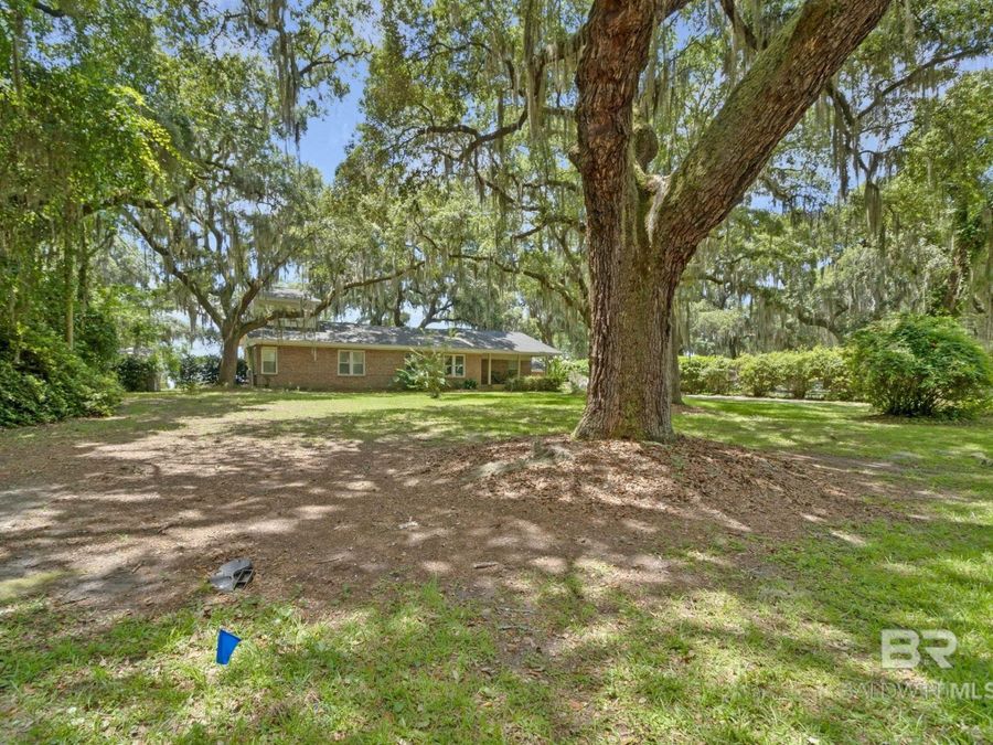 Property Image 58