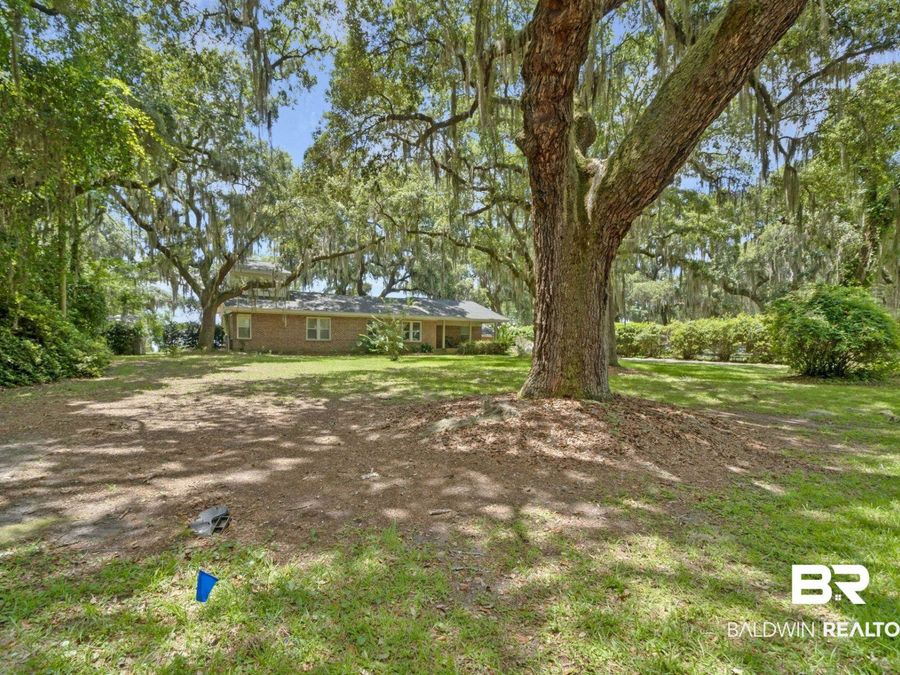 Property Image 58