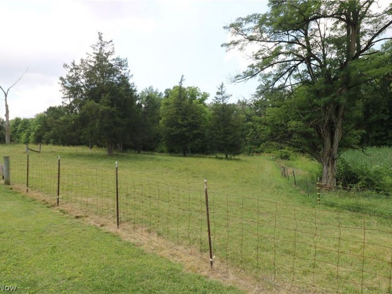 1881 Snyder Road, Willard, OH 44890 Photo 8
