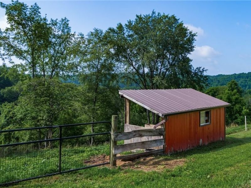 62496 Leatherwood Road, Cambridge, OH 43725 Photo 30