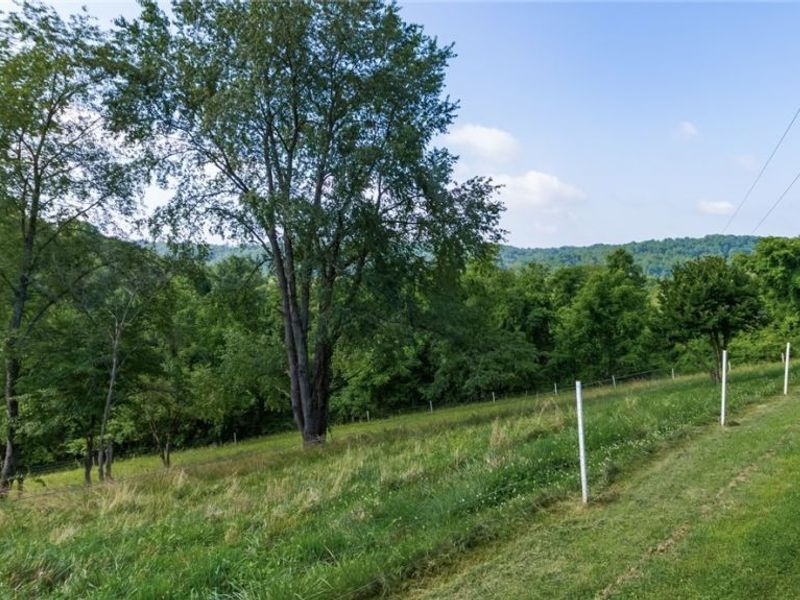 62496 Leatherwood Road, Cambridge, OH 43725 Photo 32