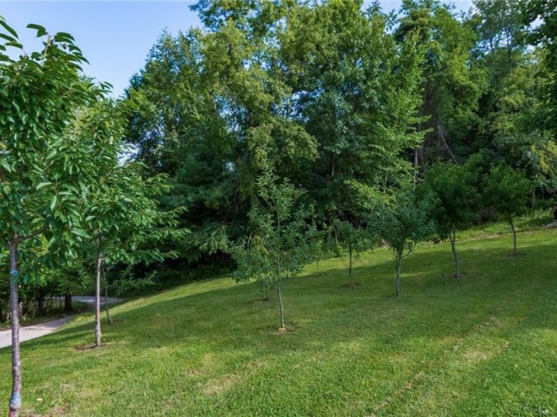 62496 Leatherwood Road, Cambridge, OH 43725 Photo 6