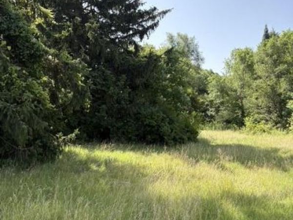 1786 E Napier Avenue, Benton Harbor, MI 49022