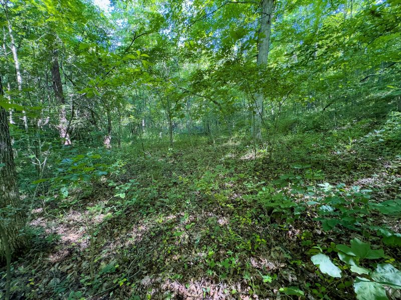 0 Jake Road , Patriot, OH 45658 Photo 5
