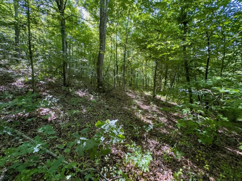0 Jake Road , Patriot, OH 45658 Photo 6