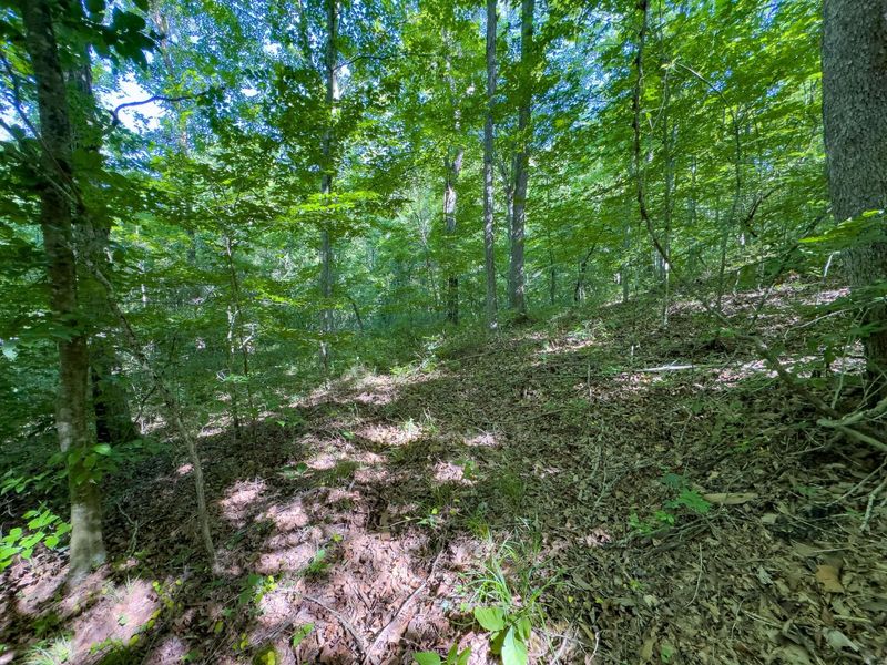 0 Jake Road , Patriot, OH 45658 Photo 7